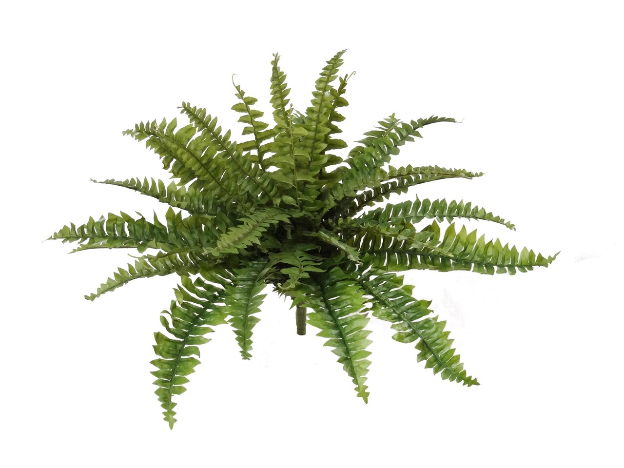 4-Pack: 28" UV-Resistant Boston Fern Plants with 27 Silk Fronds - Lifelike Greenery for Indoor & Outdoor Decor, Floral Home by Artificial Flowers